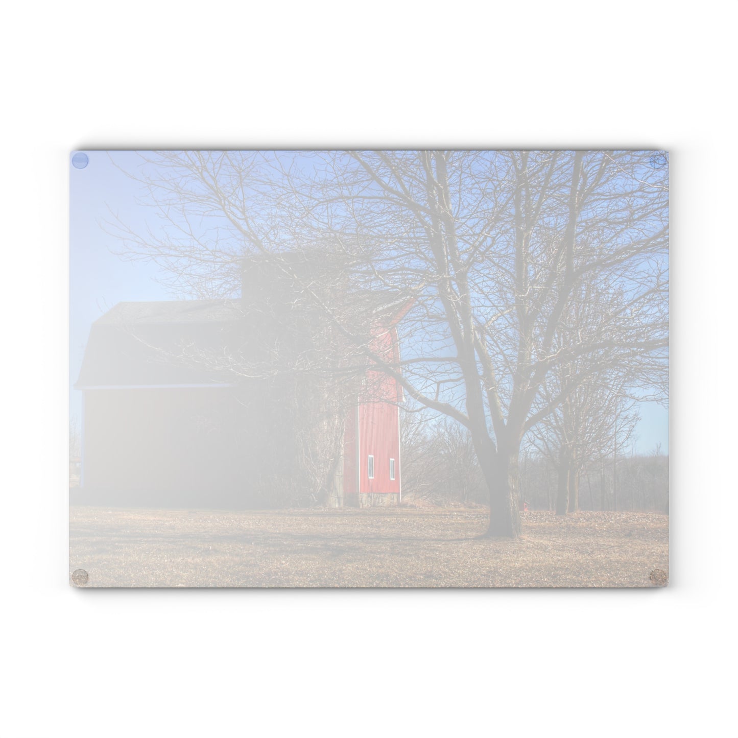 U R There Photography Leonard Road Red Rustic Farmhouse Tempered-Glass Cutting Board 8"x 11"