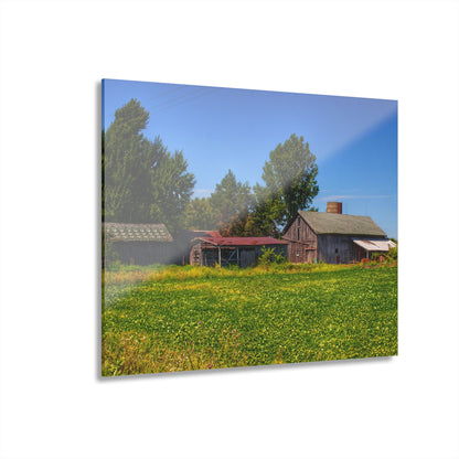 U R There Photography Birch Run Road Greys I Rustic Farmhouse Acrylic Wall Print