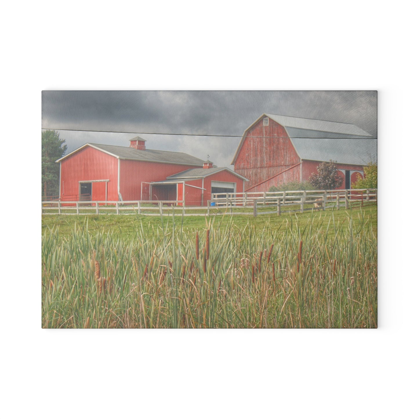 U R There Photography Greenwood Reds Rustic Farmhouse Tempered-Glass Cutting Board