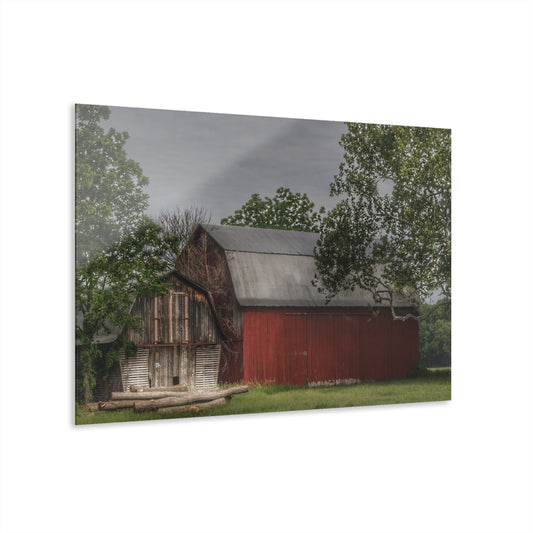 U R There Photography Barkley Road Buddies Rustic Farmhouse Acrylic Wall Print