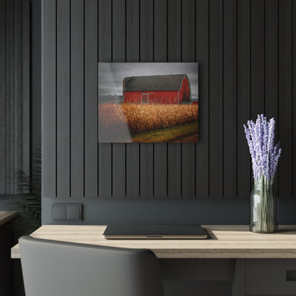 U R There Photography Slattery Road Cornfield Red Rustic Farmhouse Acrylic Wall Print