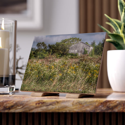 U R There Photography Almont Road Grey Rustic Farmhouse Decorative Ceramic Tile