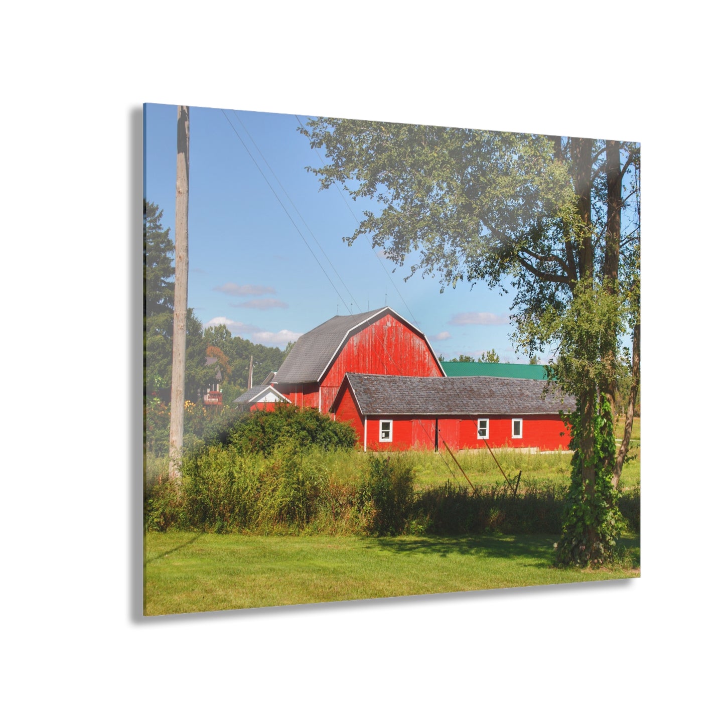 U R There Photography Lake Pleasant Reds II Rustic Farmhouse Acrylic Wall Print