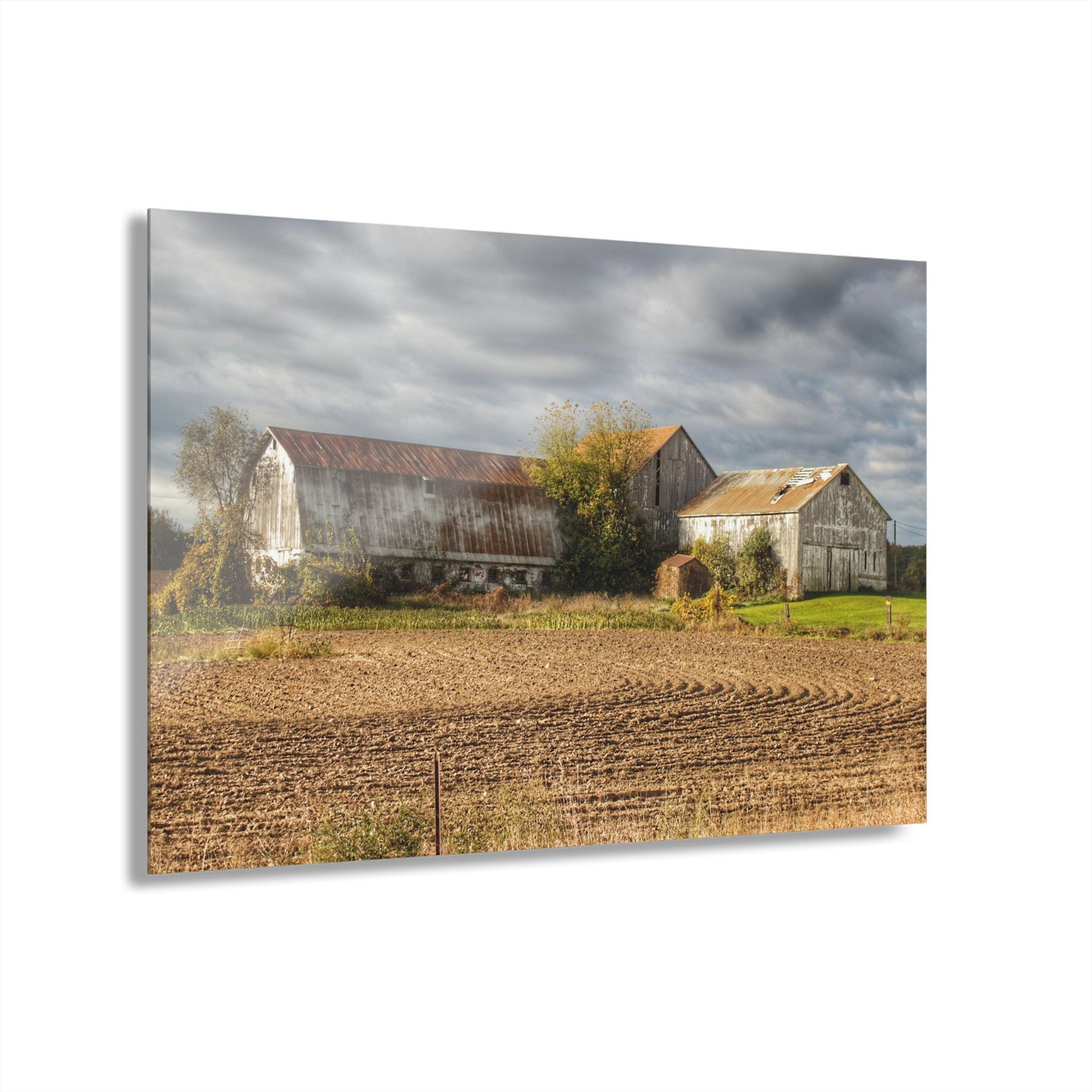 Newark Road Whites Rustic Farmhouse Acrylic Wall Print