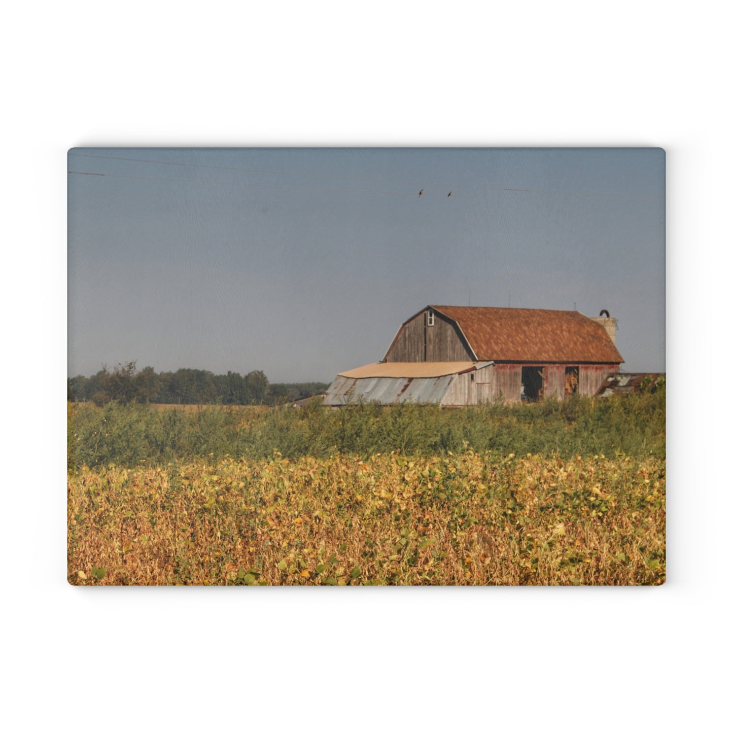 U R There Photography Slattery Road Saltbox Grey Rustic Farmhouse Tempered-Glass Cutting Board