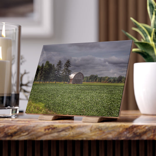 U R There Photography Belsay Grey Among the Pines Rustic Farmhouse Decorative Ceramic Tile