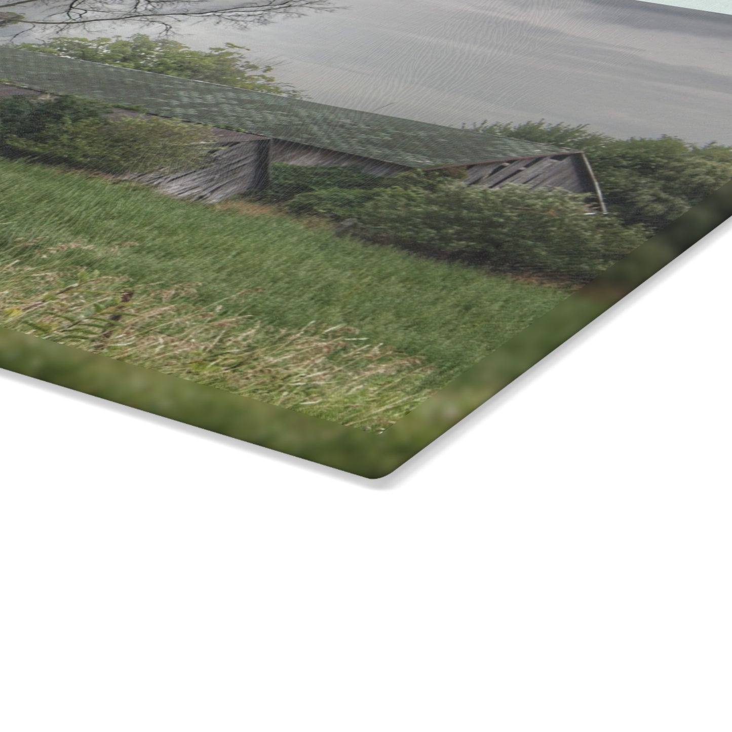 U R There Photography Wilder Road Grey III Rustic Farmhouse Tempered-Glass Cutting Board