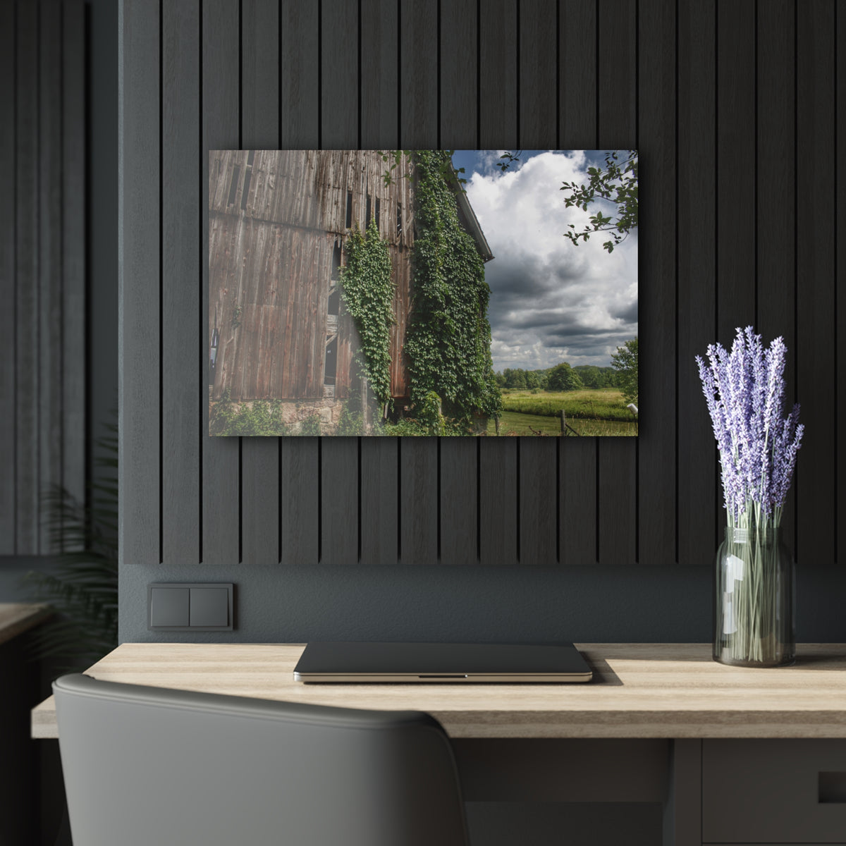 North Branch Ivy Grey II | Wall Prints 30″ x 20″ (Horizontal) 0.25''
