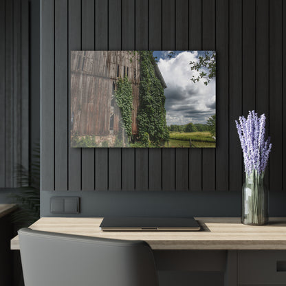 U R There Photography North Branch Ivy Grey II Rustic Farmhouse Acrylic Wall Print