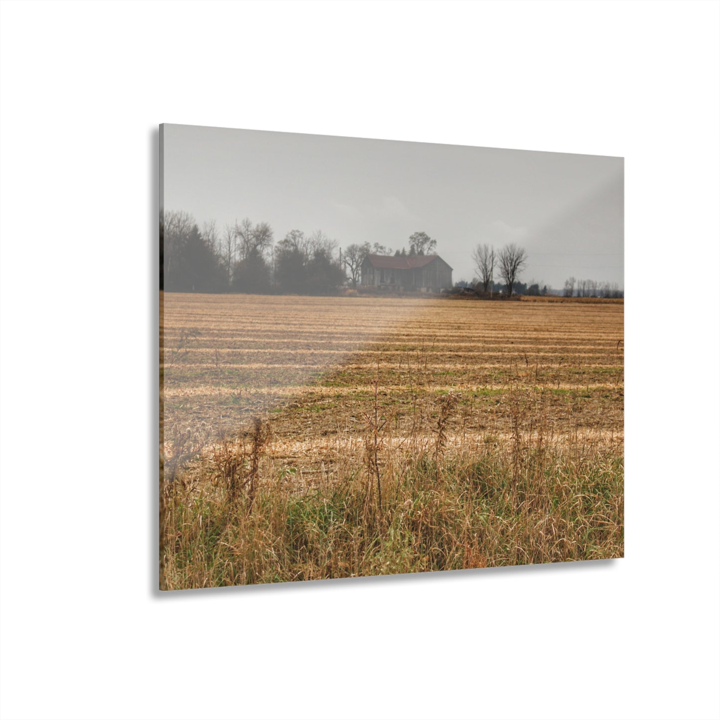 U R There Photography Freiberger Road Grey Across the Field Rustic Farmhouse Acrylic Wall Print