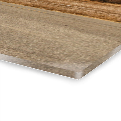 U R There Photography North Hunt Road Farm I Rustic Farmhouse Acrylic Wall Print