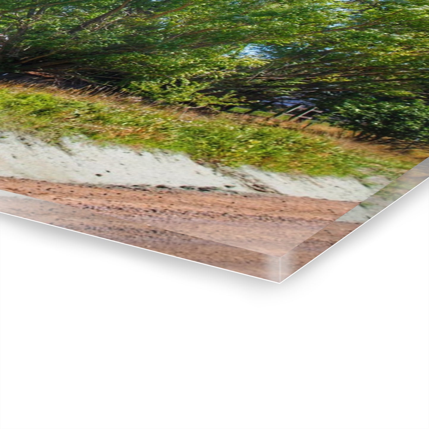 U R There Photography East Farrand Grey Rustic Farmhouse Acrylic Wall Print