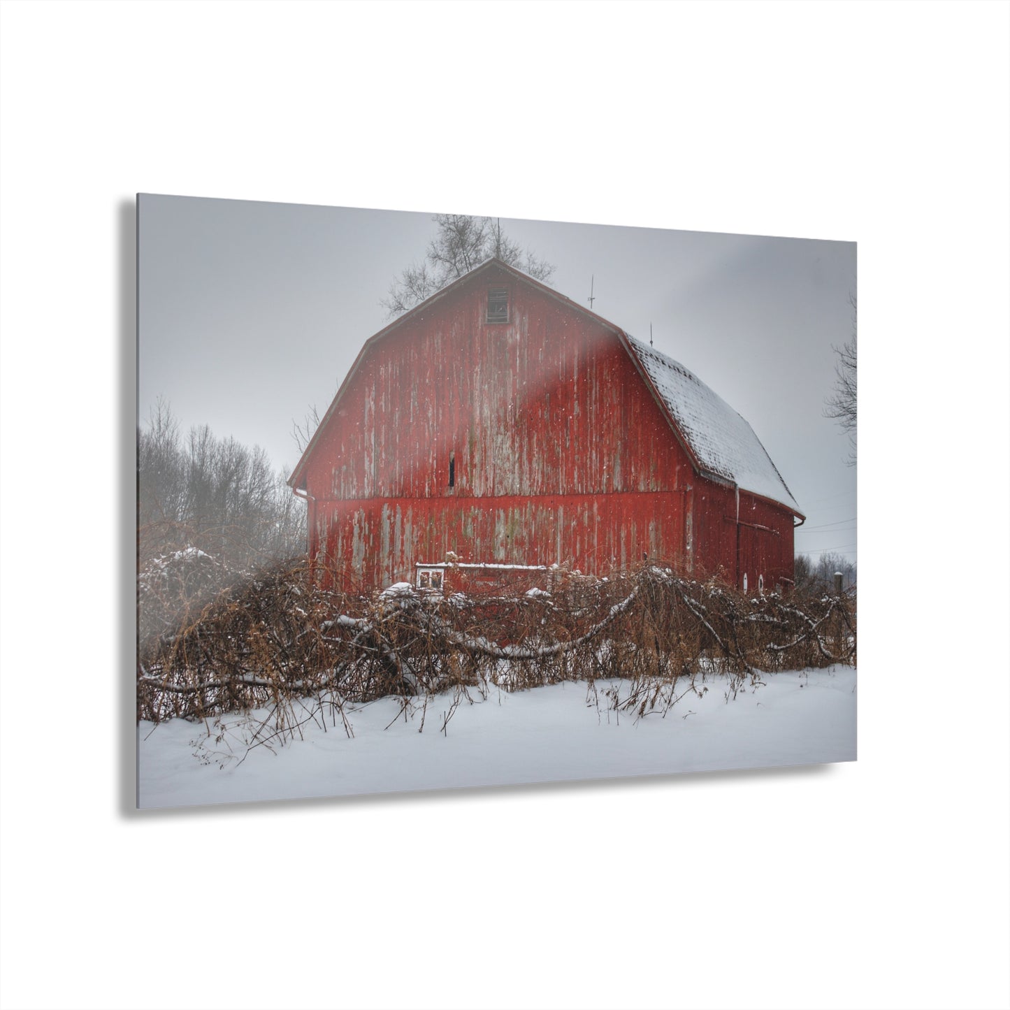 U R There Photography Hadley Road Barn at the Bend Rustic Farmhouse Acrylic Wall Print