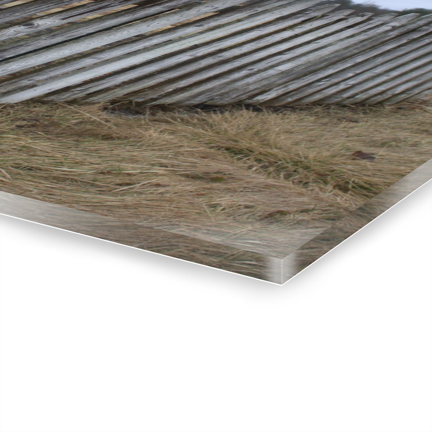 U R There Photography Country Fence Rustic Farmhouse Acrylic Wall Print