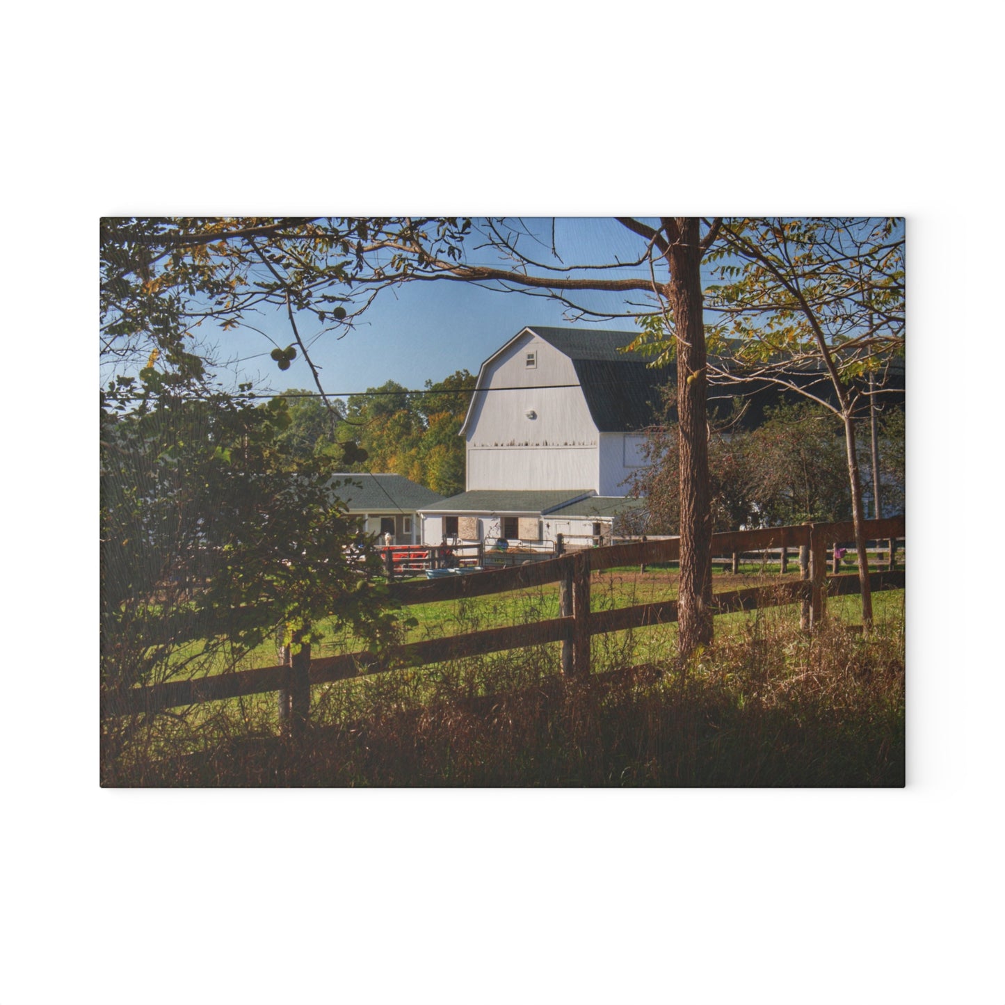U R There Photography Oakwood Road White I Rustic Farmhouse Tempered-Glass Cutting Board