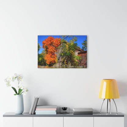 U R There Photography Oxford Rusted Red in Fall Rustic Farmhouse Acrylic Wall Print