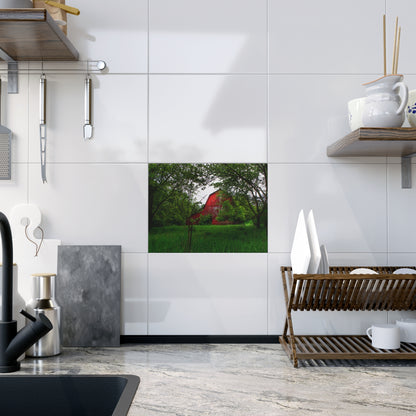 U R There Photography Bird Road Red Rustic Farmhouse Decorative Ceramic Tile