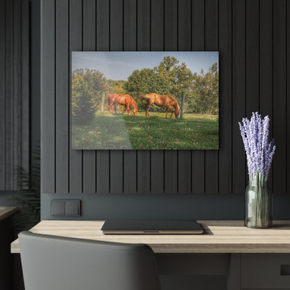 U R There Photography Caramel Horses Rustic Farmhouse Acrylic Wall Print
