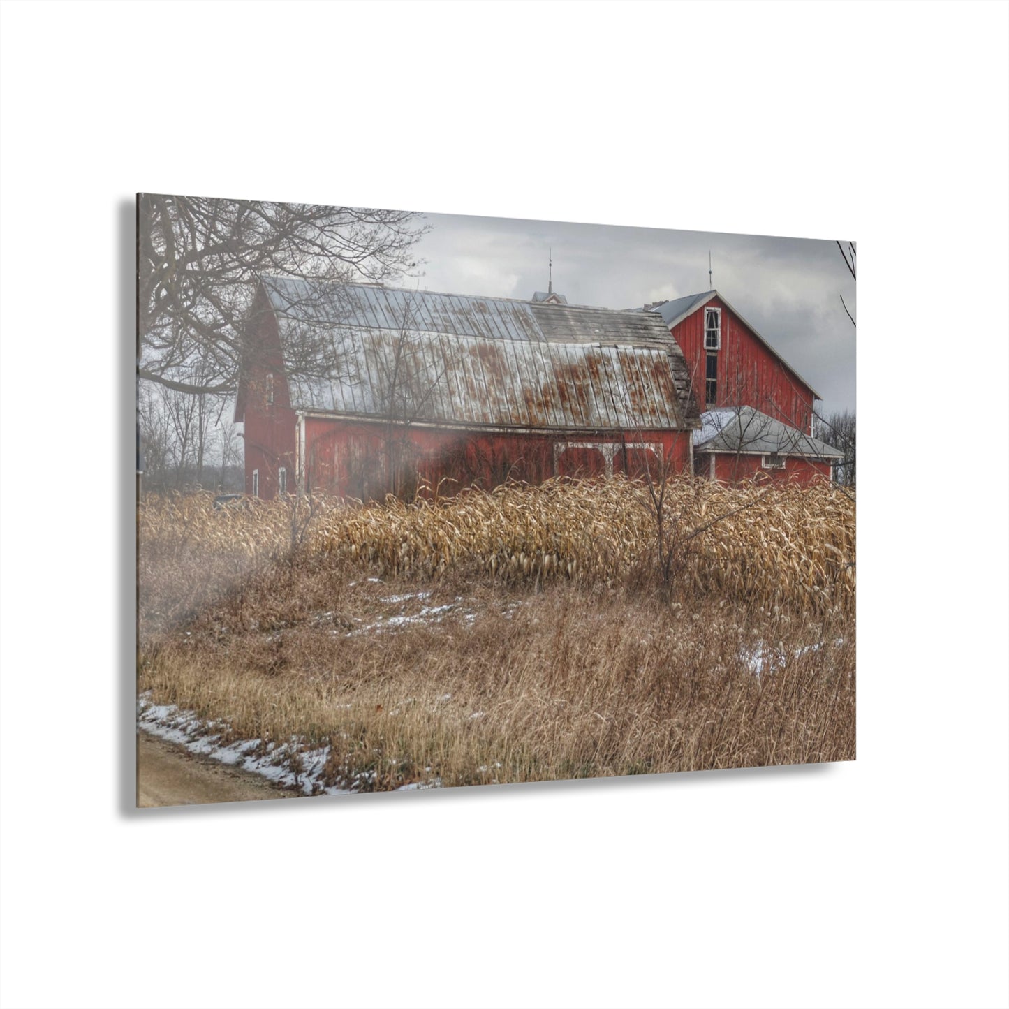 U R There Photography Edward Road Reds Rustic Farmhouse Acrylic Wall Print
