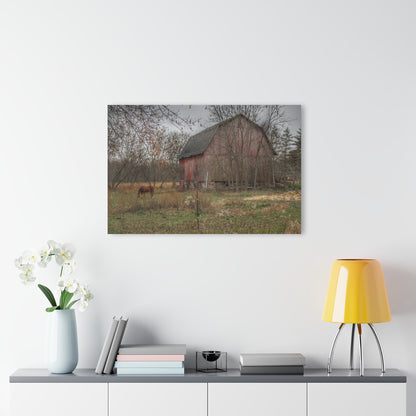 U R There Photography Blair Road Barn and Horse Rustic Farmhouse Acrylic Wall Print