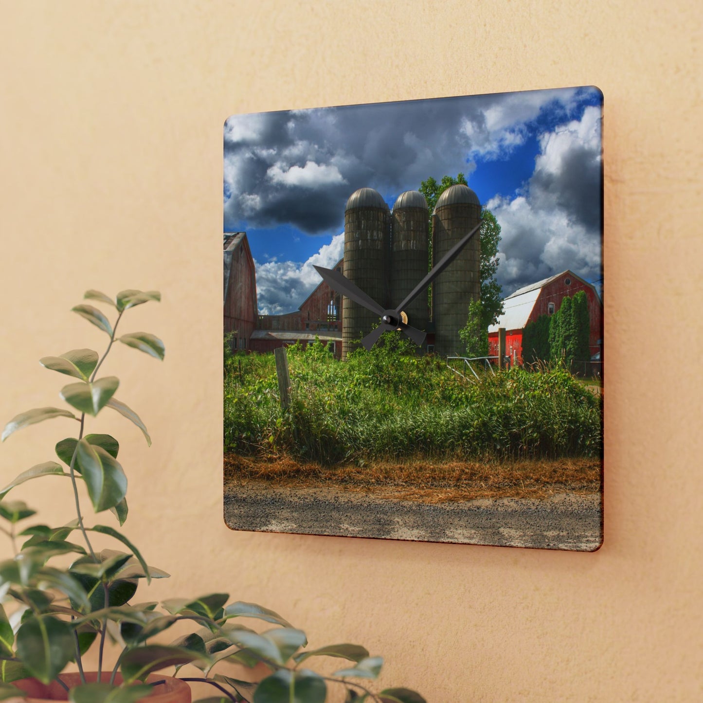 U R There Photography Shelby Red II Rustic Farmhouse Acrylic Analog Wall Clock