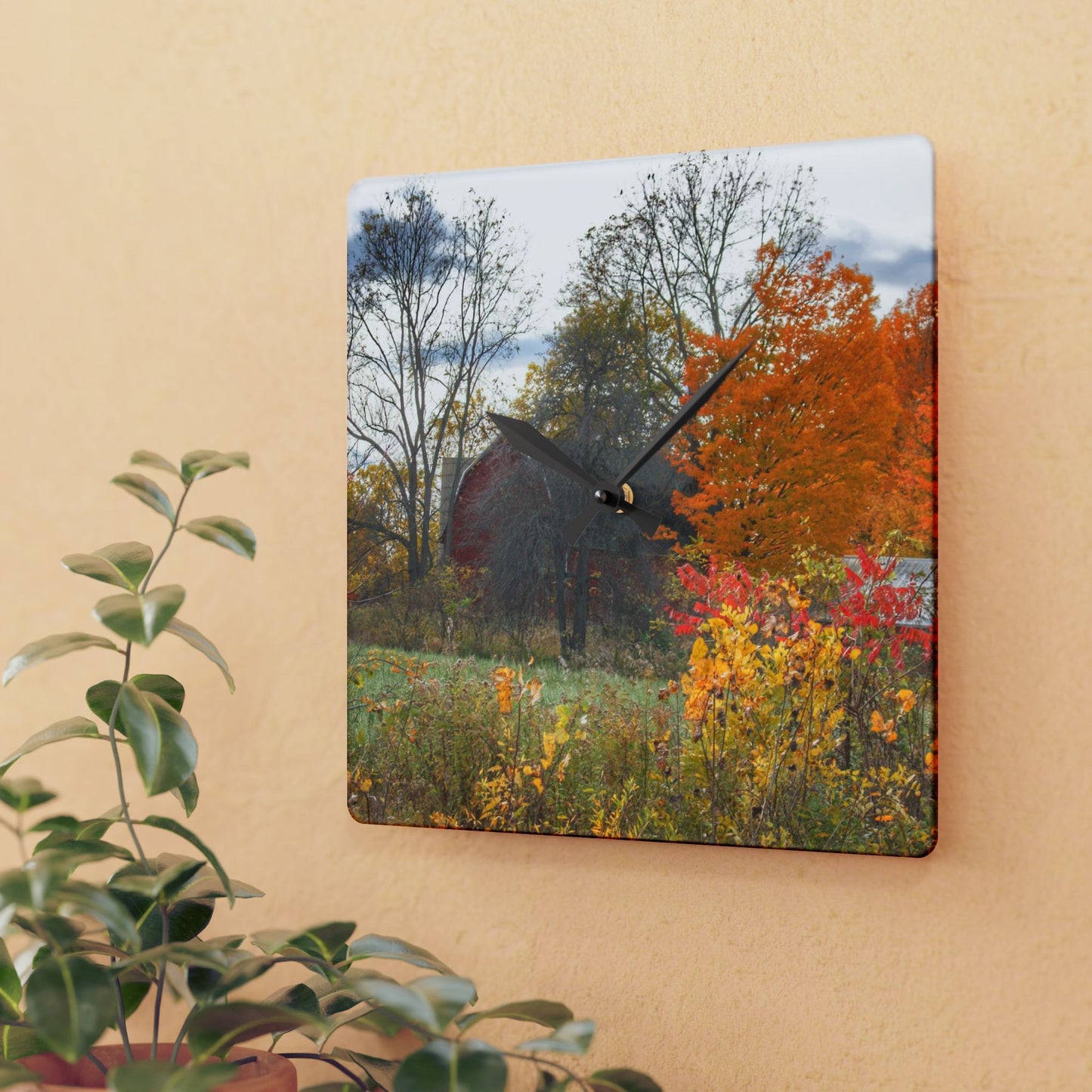 U R There Photography Bowers Hidden Red Rustic Farmhouse Acrylic Analog Wall Clock