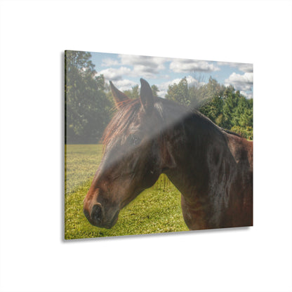 U R There Photography Brown Beauty I Rustic Farmhouse Acrylic Wall Print