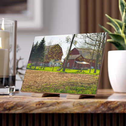 U R There Photography Bishop Road Reds III Rustic Farmhouse Decorative Ceramic Tile