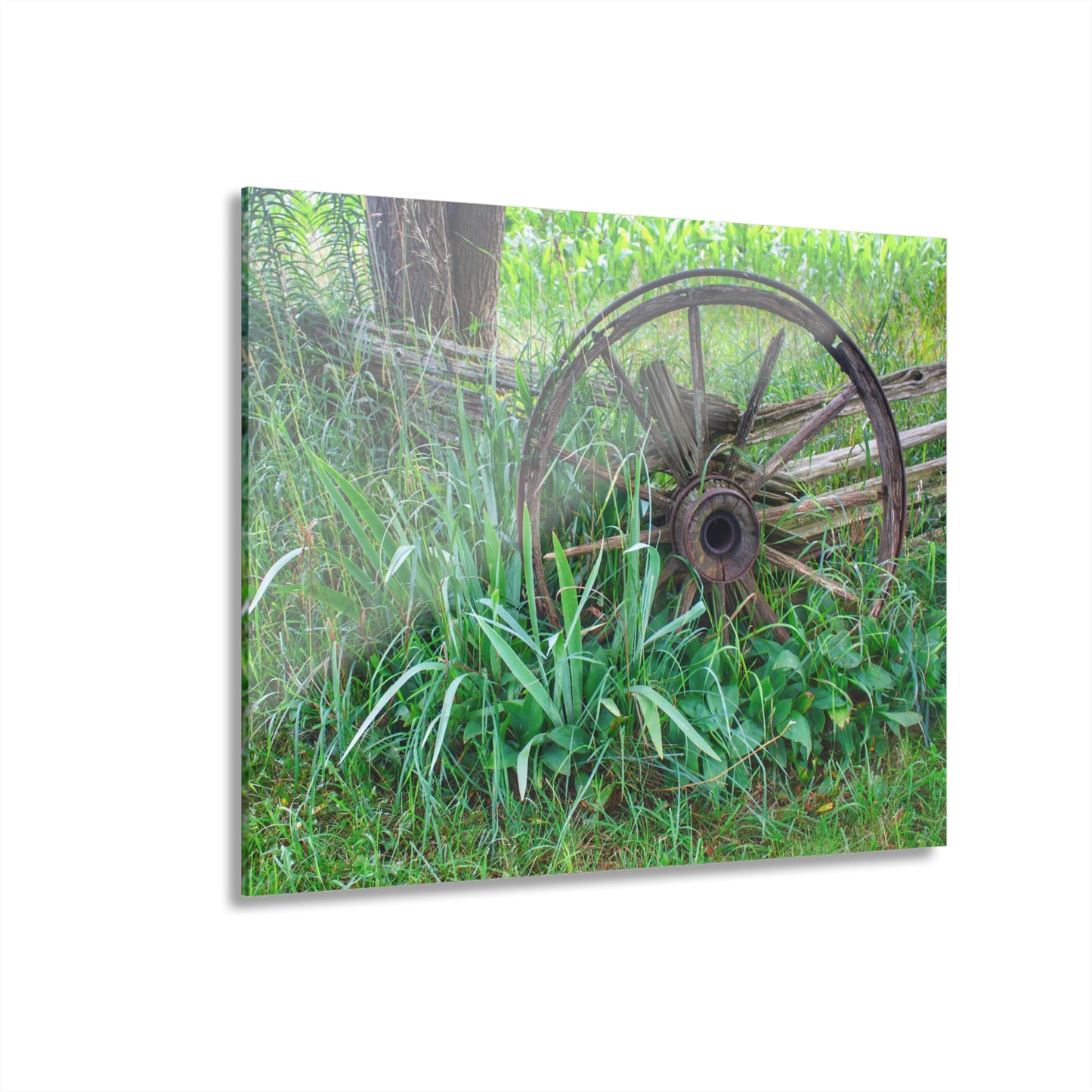 U R There Photography Wagon Wheel Fences Rustic Farmhouse Acrylic Wall Print