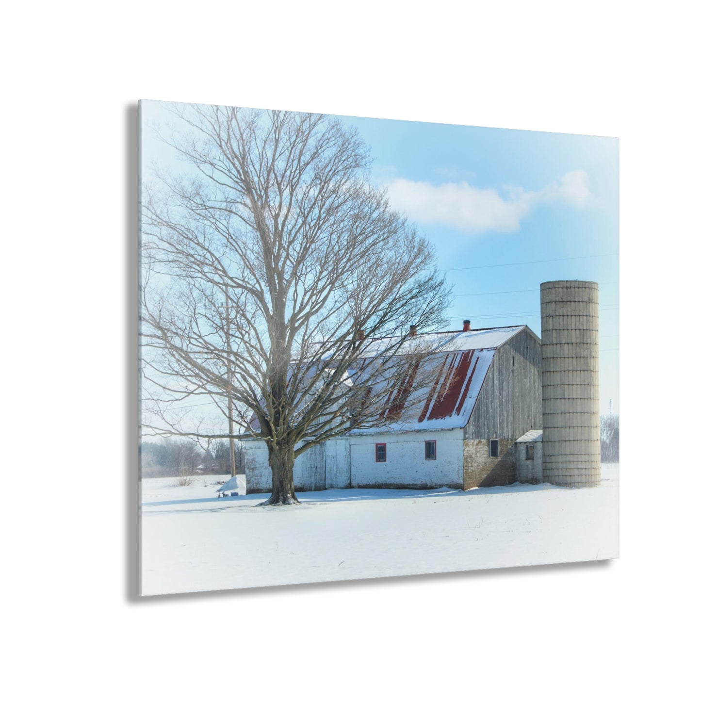 U R There Photography Barnes Road White Rustic Farmhouse Acrylic Wall Print