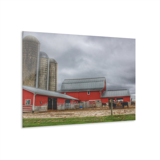 U R There Photography Daley Road Cow Barn Rustic Farmhouse Acrylic Wall Print