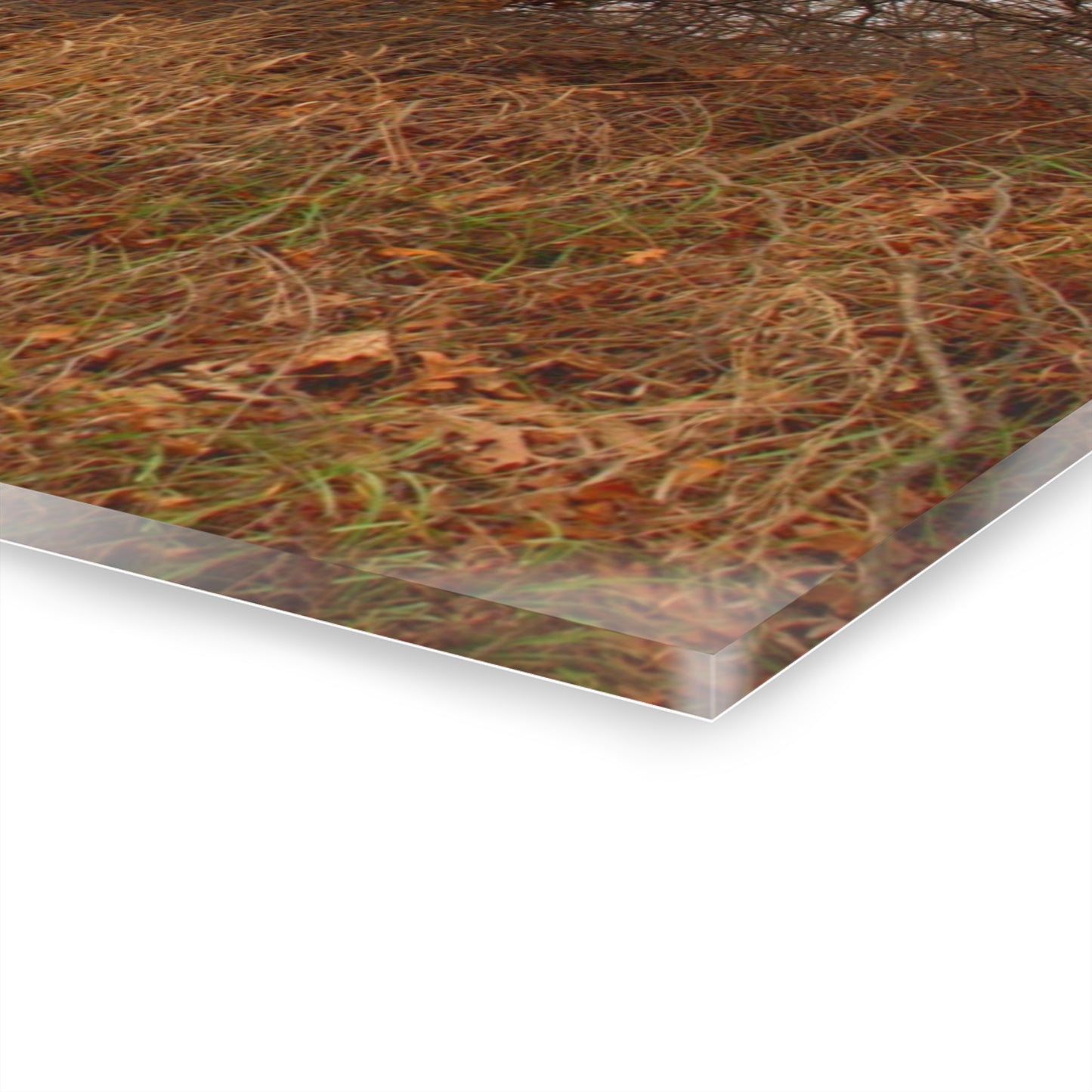 U R There Photography North Oxford Road Grey II Rustic Farmhouse Acrylic Wall Print