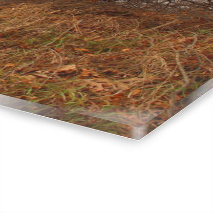 U R There Photography North Oxford Road Grey II Rustic Farmhouse Acrylic Wall Print