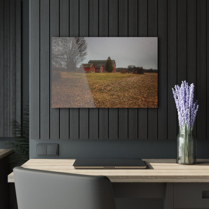 U R There Photography Wilder Road Reds in Spring Rustic Farmhouse Acrylic Wall Print