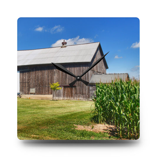 Frog Barn II Rustic Farmhouse Acrylic Analog Wall Clock 10.75'' × 10.75'' (Square)