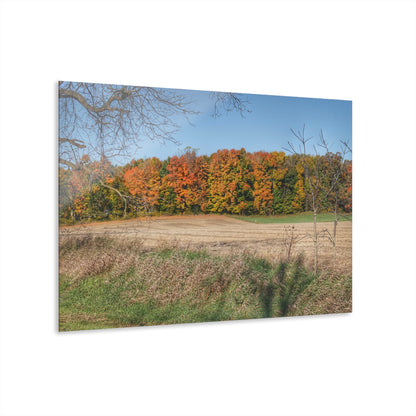 U R There Photography Fall on Piersonville Road Rustic Farmhouse Acrylic Wall Print