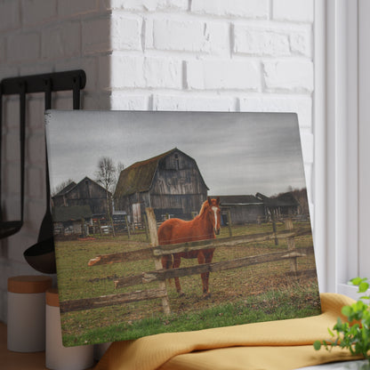 U R There Photography South Summers Road Old Grey and Caramel IV Rustic Farmhouse Tempered-Glass Cutting Board