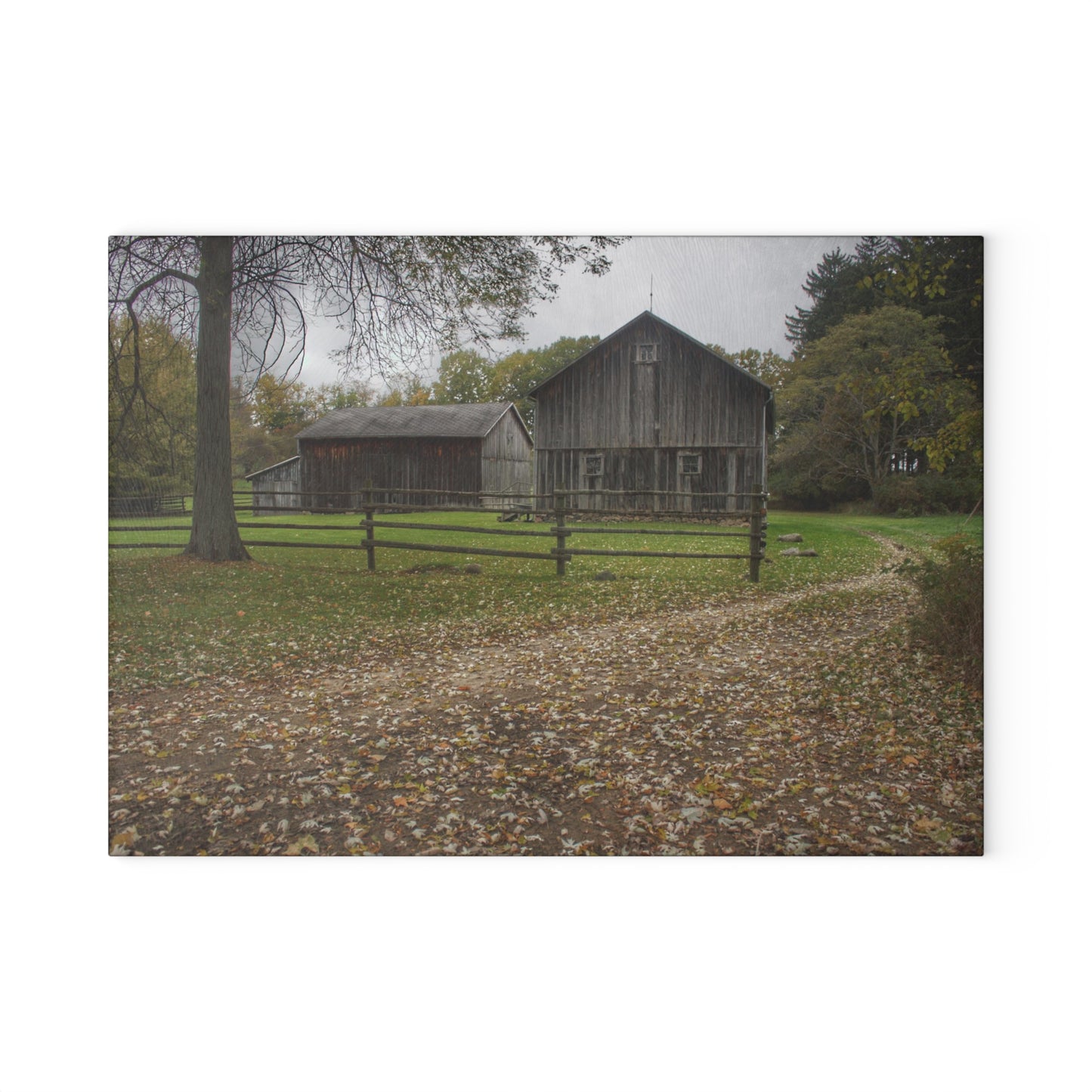 U R There Photography Wilder Road Greys II Rustic Farmhouse Tempered-Glass Cutting Board