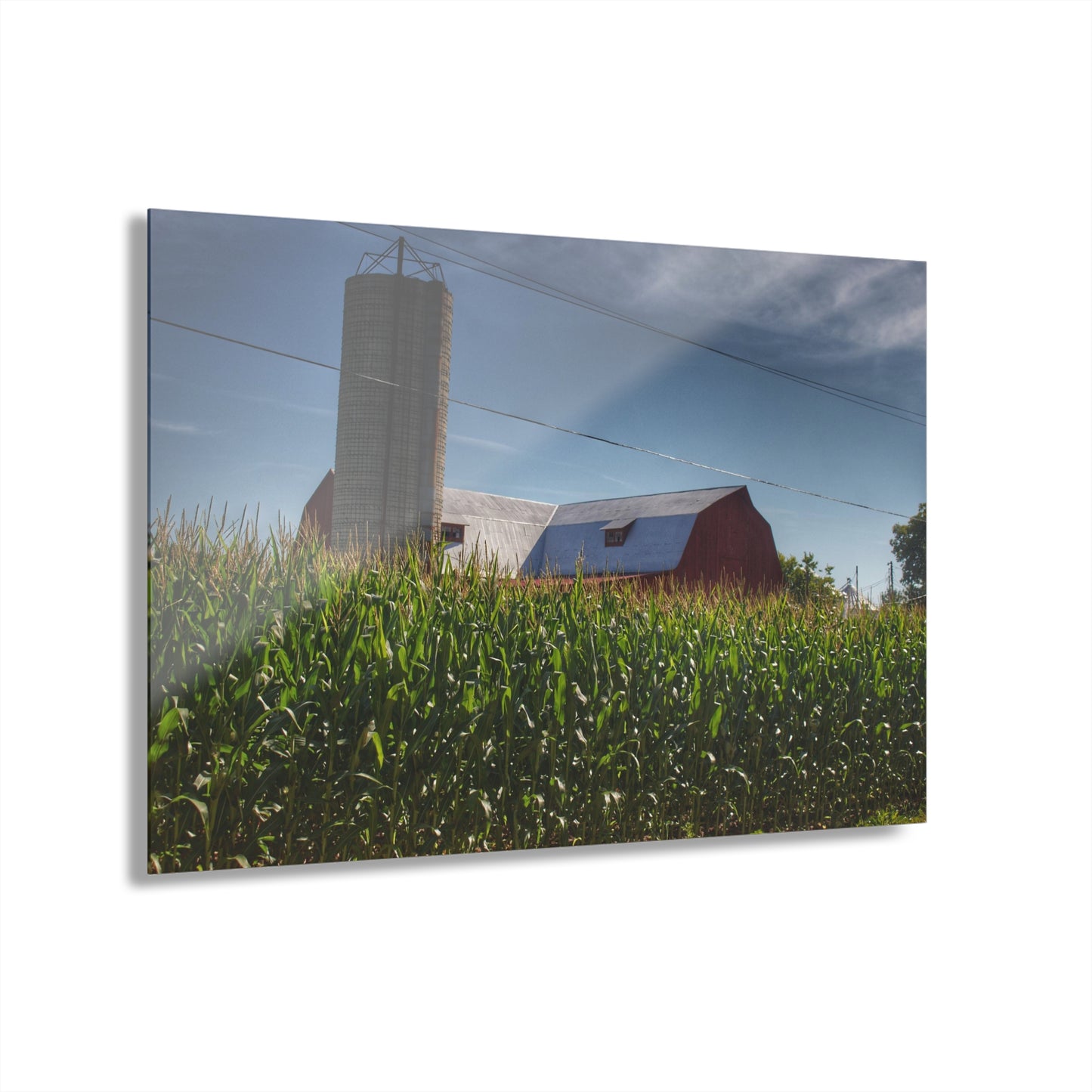 U R There Photography Above the Corn on Tuscola Road Rustic Farmhouse Acrylic Wall Print