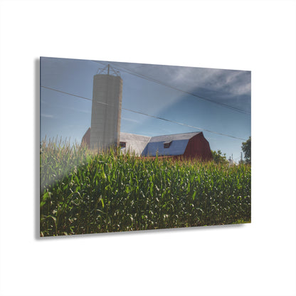 U R There Photography Above the Corn on Tuscola Road Rustic Farmhouse Acrylic Wall Print
