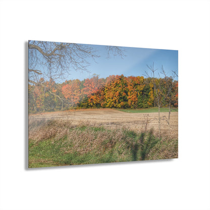 U R There Photography Fall on Piersonville Road Rustic Farmhouse Acrylic Wall Print