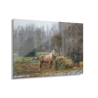 U R There Photography French Road Butterscotch Rustic Farmhouse Acrylic Wall Print