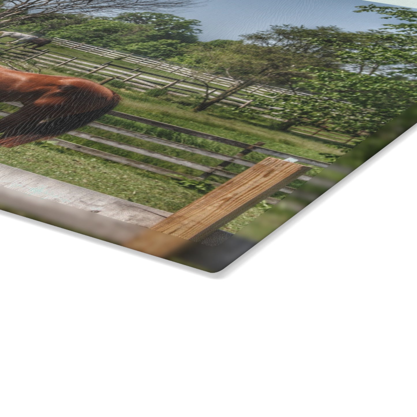 U R There Photography Summer Road Ponies Rustic Farmhouse Tempered-Glass Cutting Board