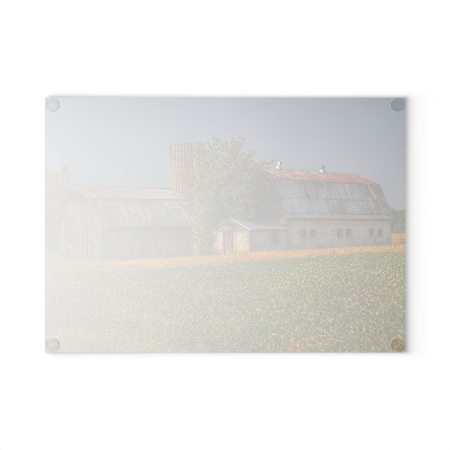 U R There Photography Swaffer Road Duo Rustic Farmhouse Tempered-Glass Cutting Board