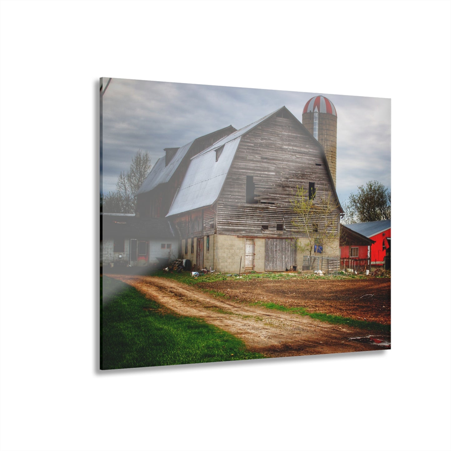 U R There Photography Murphy Lake Road Grey l Rustic Farmhouse Acrylic Wall Print