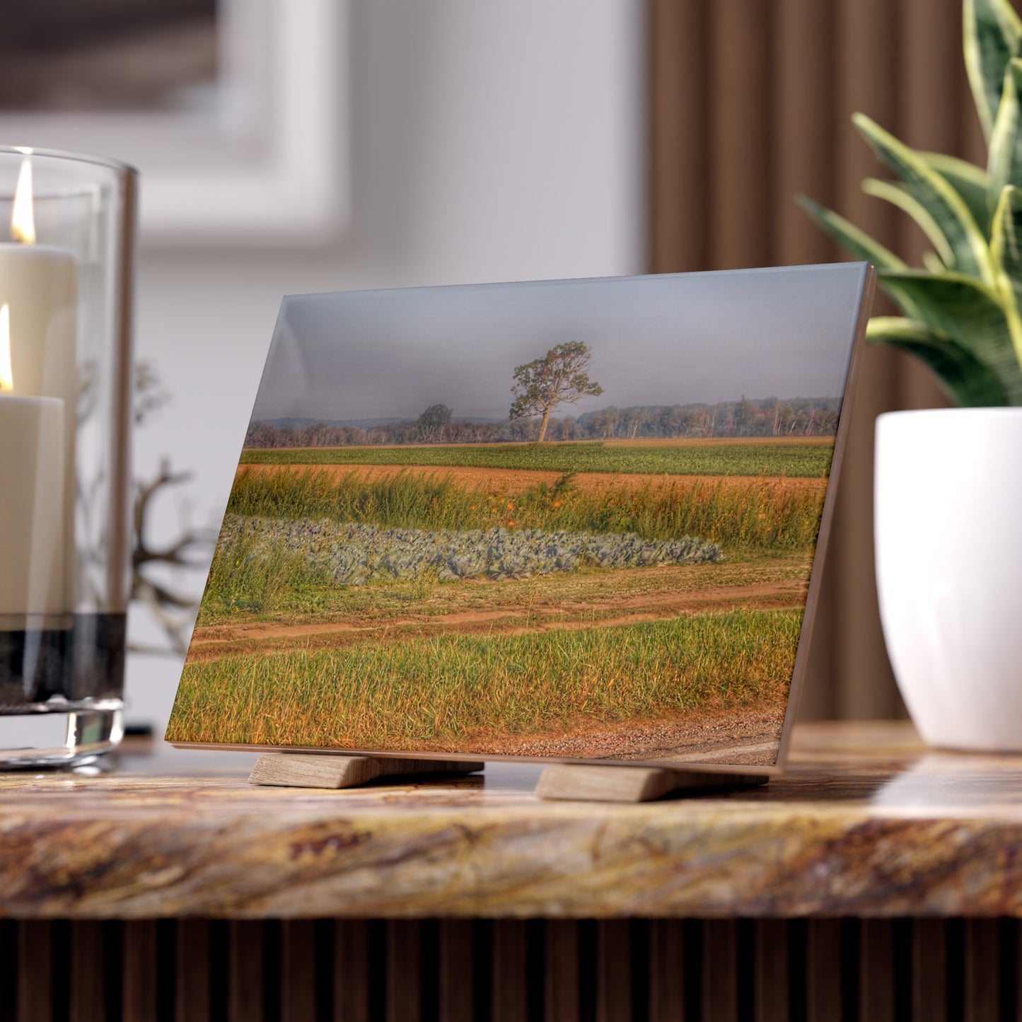 U R There Photography Cabbage and Pumpkin Patch Rustic Farmhouse Decorative Ceramic Tile