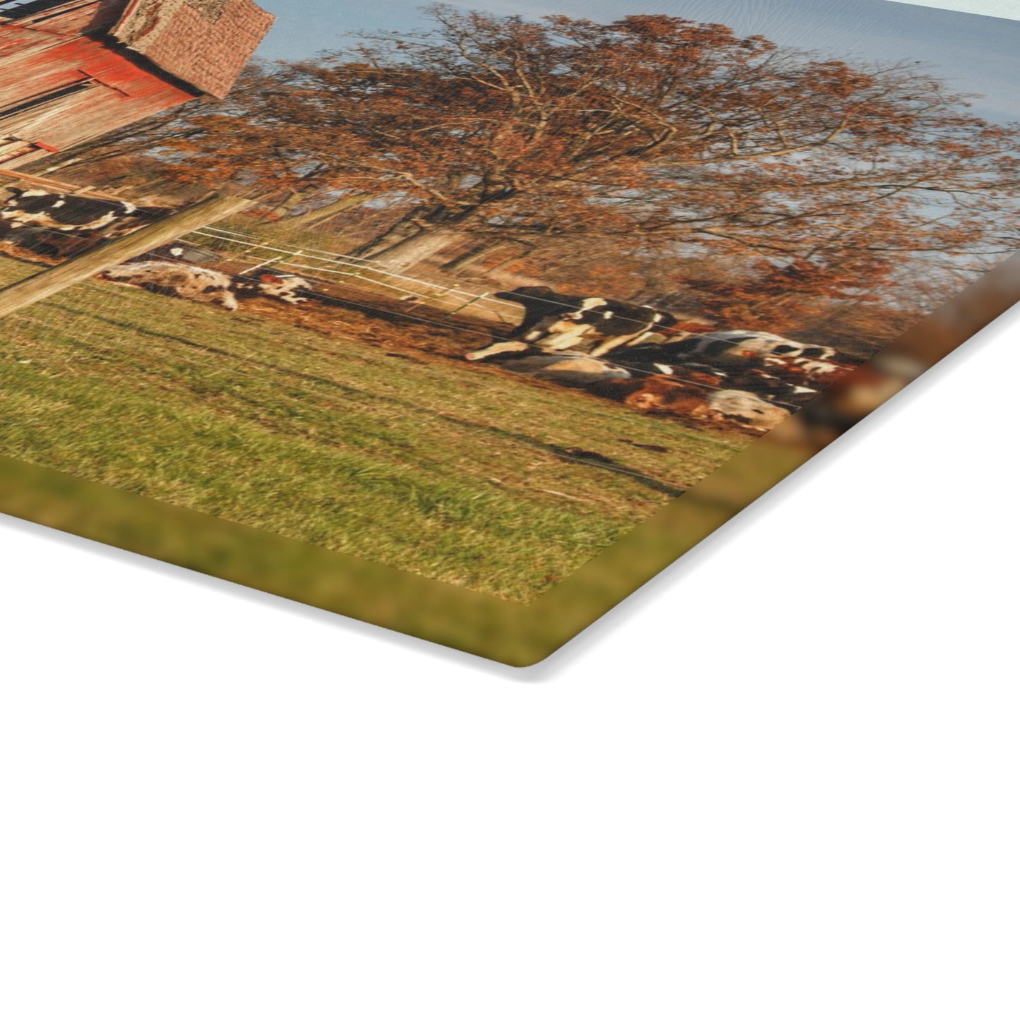 U R There Photography Marathon Road Red Rustic Farmhouse Tempered-Glass Cutting Board 8"x 11"