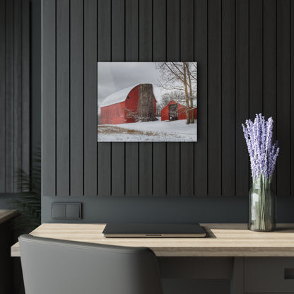 U R There Photography Catlin Reds in Winter I Rustic Farmhouse Acrylic Wall Print