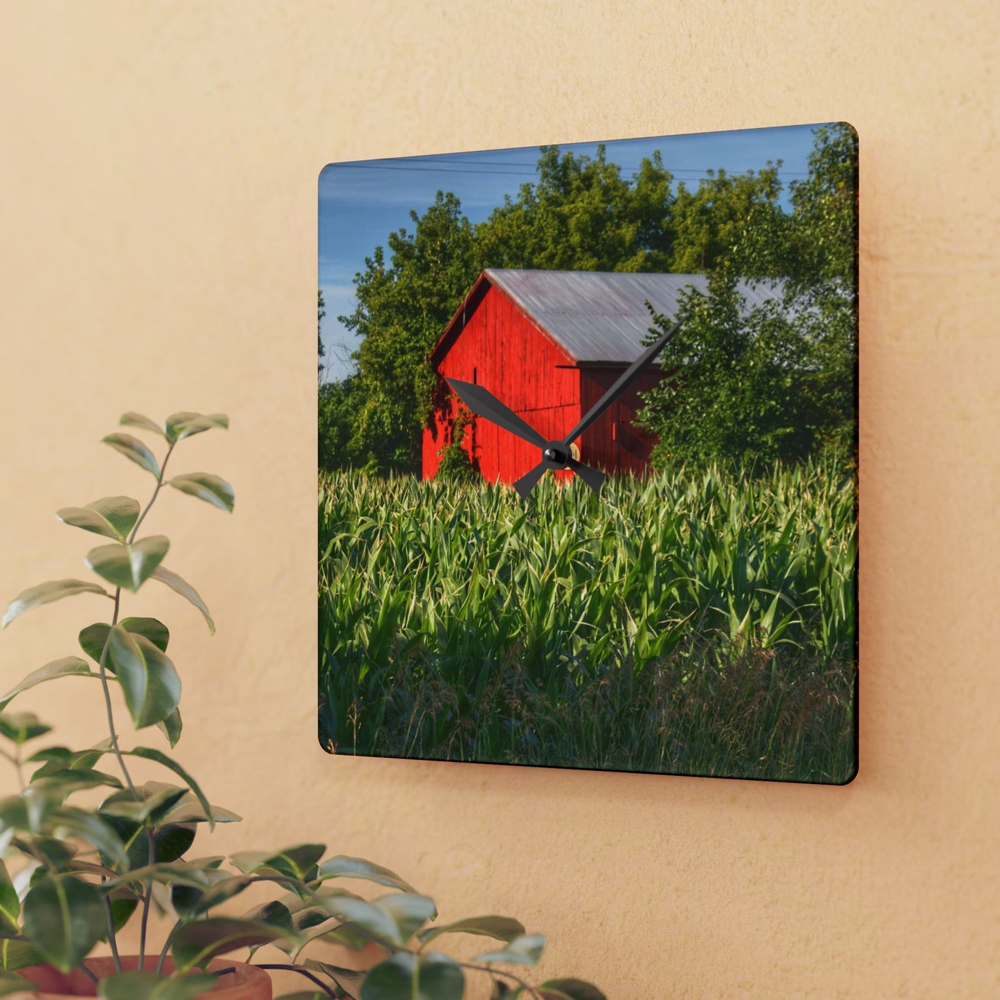 U R There Photography Willard Road Red III Rustic Farmhouse Acrylic Analog Wall Clock