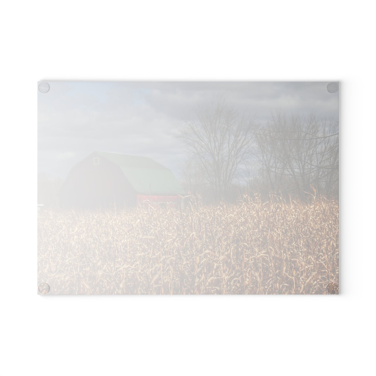 U R There Photography North Force Road Hidden Red Rustic Farmhouse Tempered-Glass Cutting Board